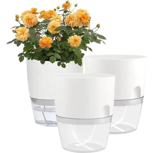 Self Watering Flower Pot